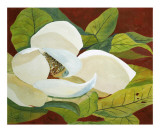 Magnolia I