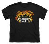 Buy Youth: Charlie's Angels-Fire at AllPosters.com