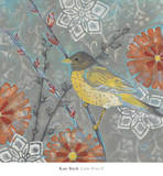 Little Wren II
