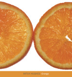 Buy Orange at AllPosters.com