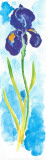 Buy Acuarelas Flores Vertic I at AllPosters.com