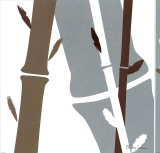 Buy Unknown at AllPosters.com
