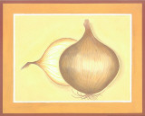 Buy Onions at AllPosters.com
