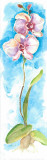Buy Acuarelas Flores Vertic III at AllPosters.com