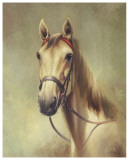 Buy I Am The King at AllPosters.com