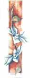Buy Beauty XIV at AllPosters.com