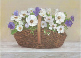 Rustica Serie With Baskets II