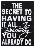 Buy The Secret to Having it All at AllPosters.com