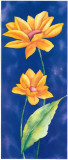Amber Flowers III