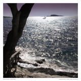 Silver Sea