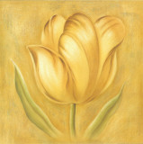 Great Tulip II
