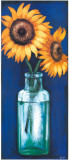 Buy Bottled Flowers II at AllPosters.com