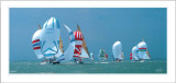 Buy Spinnaler at AllPosters.com