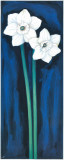 Buy Narcissus In Blue I at AllPosters.com