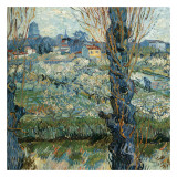Vue D'Arles Avec Vergers En Fleurs