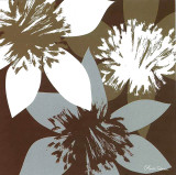 Buy Unknown at AllPosters.com