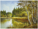 Buy Secret Pond at AllPosters.com