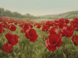 Buy Field Of Poppies at AllPosters.com