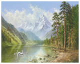 Buy Swan Family In Springtime at AllPosters.com