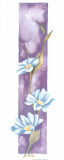 Buy Beauty XV at AllPosters.com