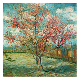 Buy P&ecirc;cher En Fleurs (Souvenir De Mauve) at AllPosters.com