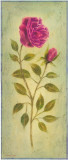 Rose In Blue I