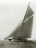 Buy Shamrock III at AllPosters.com