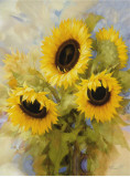 Buy Sunflower Dreams at AllPosters.com