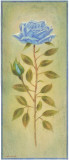 Rose In Blue II