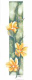 Buy Beauty XVIII at AllPosters.com