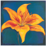Buy Orange Lily at AllPosters.com