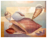 Buy Famille De Coquillages II at AllPosters.com
