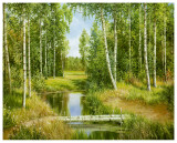Buy Birch Grove Near Pokrovskoje at AllPosters.com