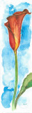 Buy Acuarelas Flores Vertic IV at AllPosters.com