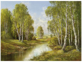 Birches In Springtime