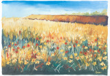 Flower Field II