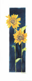 Little Sunflowers II