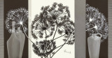 Delicate Twigs