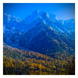 King Of The Mountain II