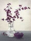 Royal Blossom II