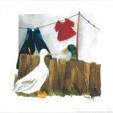 Duck Neighbors