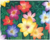 Wild Flowers II
