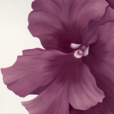 Violet Flower I
