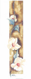 Buy Beauty XIII at AllPosters.com