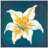 Buy Yellow Lily at AllPosters.com
