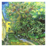 Jardin De L'Hospice Saint-Paul