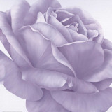Buy Magnificence I at AllPosters.com