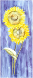 Buy Sunflower Triptych III at AllPosters.com