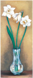 Buy Narcissus II at AllPosters.com
