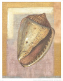 Buy Caracolas at AllPosters.com